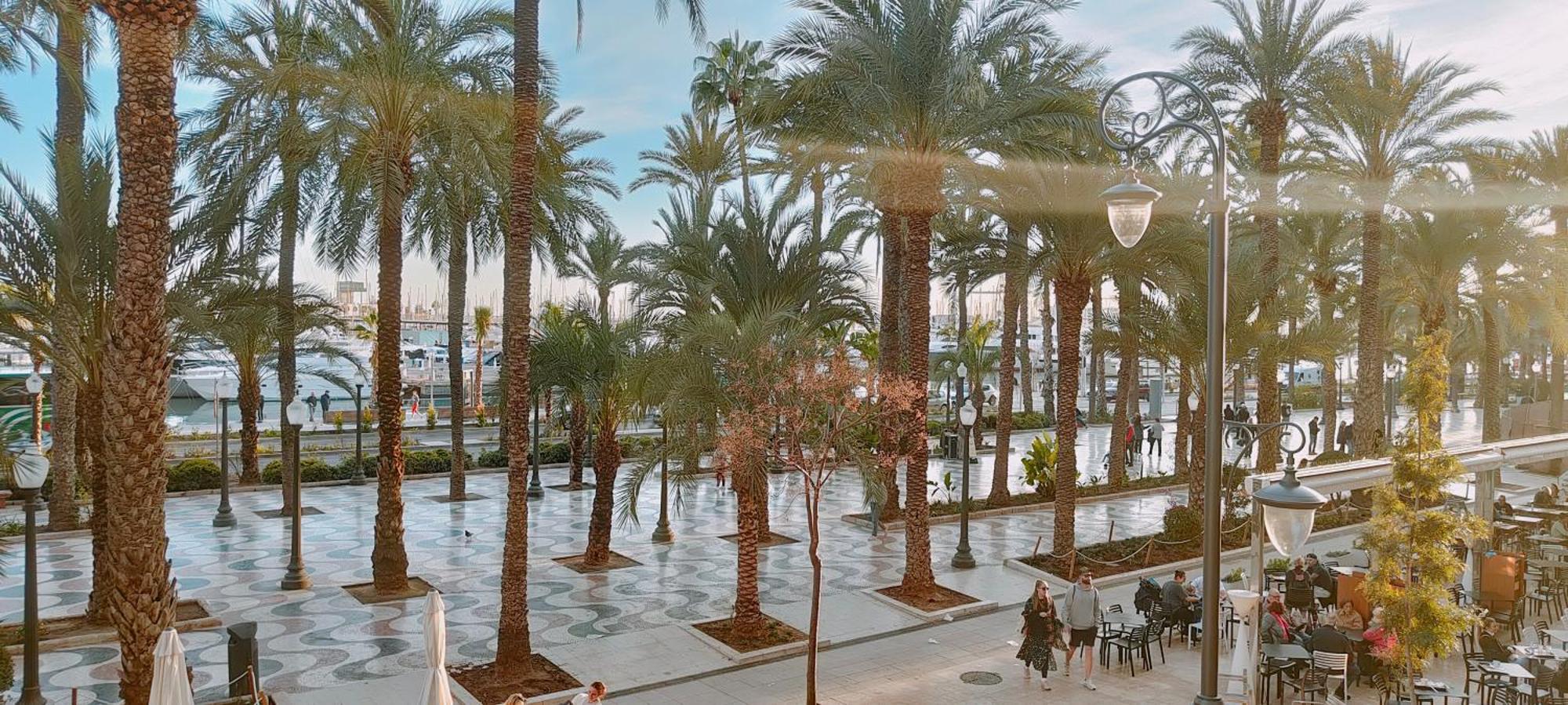 Alicantissima Marina & Beach Αλικάντε Εξωτερικό φωτογραφία