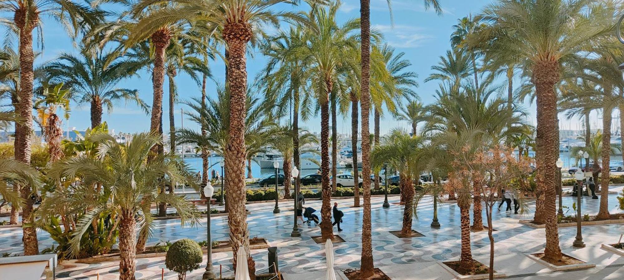 Alicantissima Marina & Beach Αλικάντε Εξωτερικό φωτογραφία